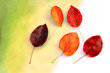 Herbstdekor