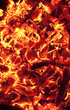 coals