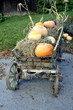 Erntedank - Wagen Erntedank - Wagen