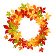 Autumn leaves background Autumn leaves background