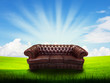 Photo: alone sofa on grass field alone sofa on grass field