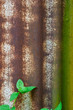 old galvanized steel old galvanized steel
