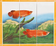 Silver Arowana (Osteoglossum bicirrhosum) on white background Silver Arowana (Osteoglossum bicirrhosum) on white background