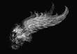 Skull with wings