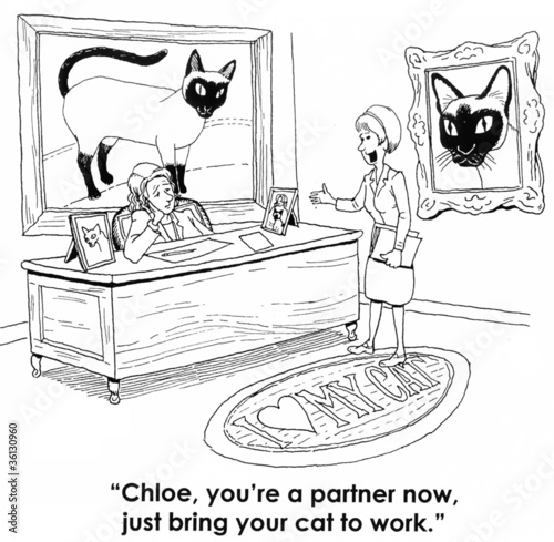 Illustration: cat cat