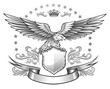 Spread winged eagle insignia