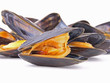 mussels