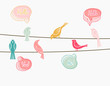 chatting birds on wires