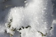 Foto: Cristaux de glace Cristaux de glace