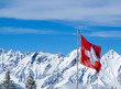 Swiss flag