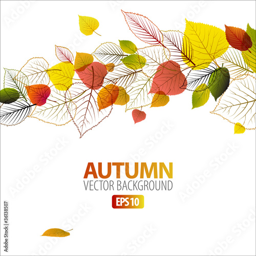 Vector: Vector Autumn abstract floral background Vector Autumn abstract floral background