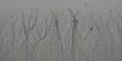Spuren am Strand