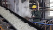 Worker in sugar factory