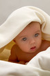 Little baby under a white blanket