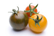 Bunte Tomaten