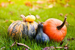 herbst