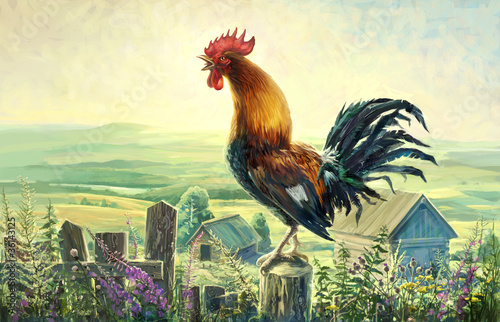 Photo: Rooster Rooster