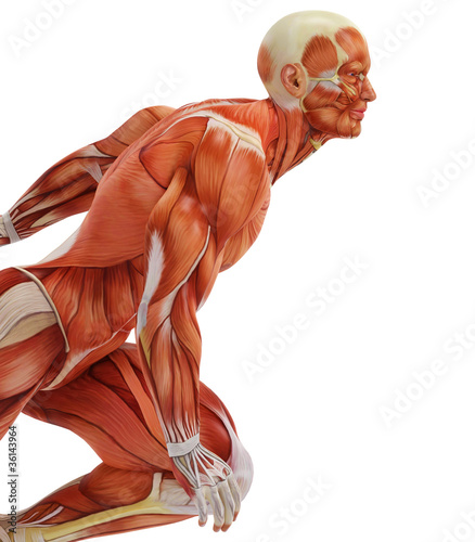 Illustration: muscle man run close up muscle man run close up