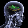 Skeleton X-Ray - CPU Brain