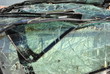 pare-brise collecte 2011