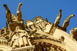 Gargouille,Kathedrale Saint-Étienne,Metz,Frankreich