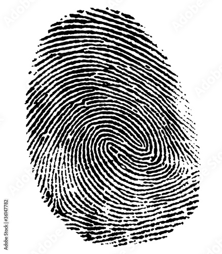 Illustration: perfect thumb fingerprint perfect thumb fingerprint