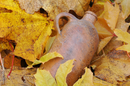 Photo: Vintage Bottle and Fallen Maple Leaves Vintage Bottle and Fallen Maple Leaves