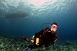 Diver swimming under the boat