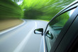 Driving  into forest