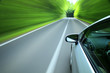 Driving  into forest