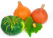 Green and orange pumpkins with autumn sheets and colors
