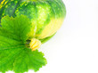 Green pumpkin