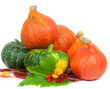 Green and orange pumpkins with autumn sheets and colors