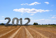 Bonne année 2012 - Pierres dans un champs Bonne année 2012 - Pierres dans un champs