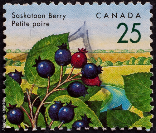 Photo: POST STAMP FROM CANADA POST STAMP FROM CANADA