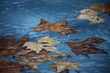 Feuilles d'automne