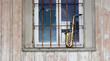 old grungy saxophone