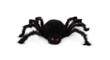 Foto: black scary hairy toy spider over white background black scary hairy toy spider over white background