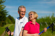 Glückliches älteres Paar beim Nordic Walking im Summer