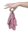 hand holding cleaning cloth