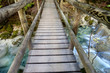 Caminando en el bosque