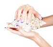 hands with shell hands with shell