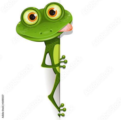 Vektor: frog frog