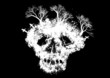 Vector: Abstract skull Abstract skull