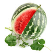juicy watermelon in cut with green leaf juicy watermelon in cut with green leaf