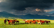 Mountain landscape with horses