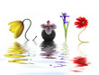 2012, fleurs et reflets 2012, fleurs et reflets
