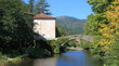 paysage montagne