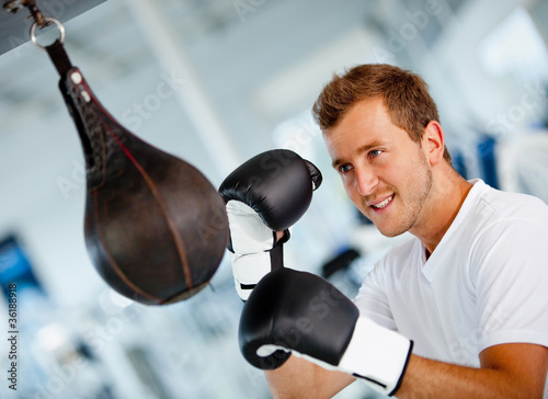 Photo: Male boxer Male boxer