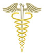 Acupuncture needles caduceus